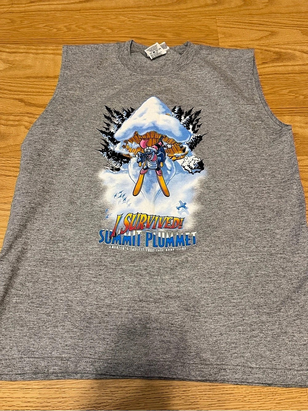 Disney Blizzard Beach Summit Plummet Graphic Tank Top Gray XL kids